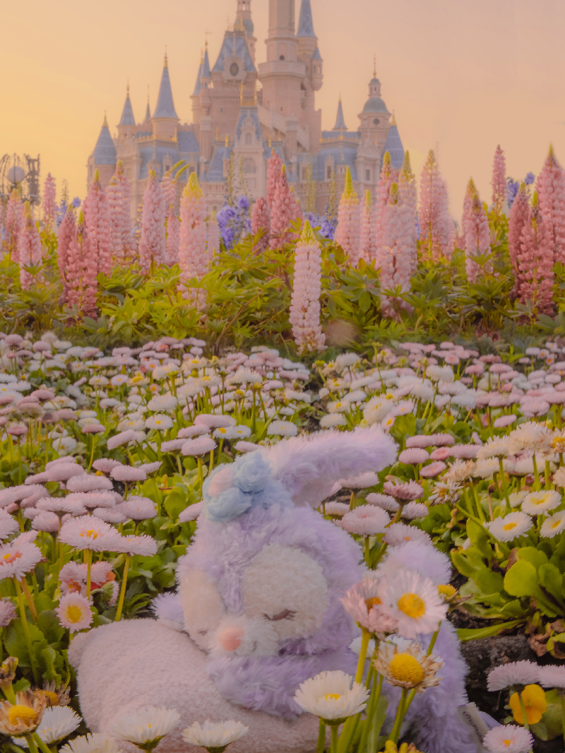 「春日限定」春日的迪士尼与樱花