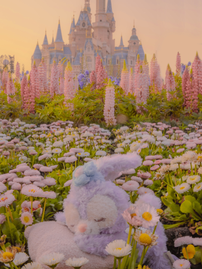 「春日限定」春日的迪士尼与樱花