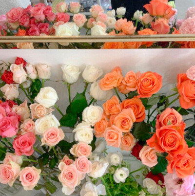 “身无长物 唯有可爱还能称出八两给你 剩下我自己留一点吧”