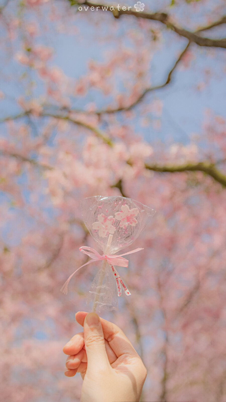 花树下送达的粉色少女心
「迪士尼春日限定.樱花」 ​​​
©️overwater