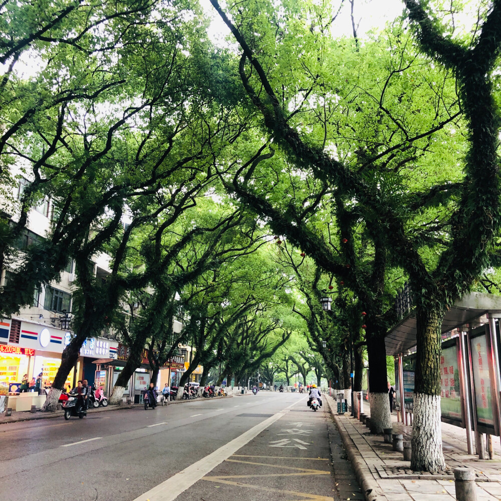 繼續假裝是一名外地遊客#桂林