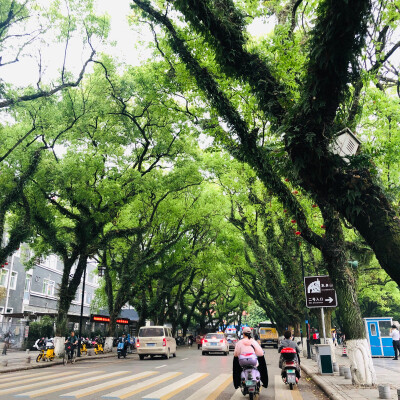 繼續假裝是一名外地遊客#桂林