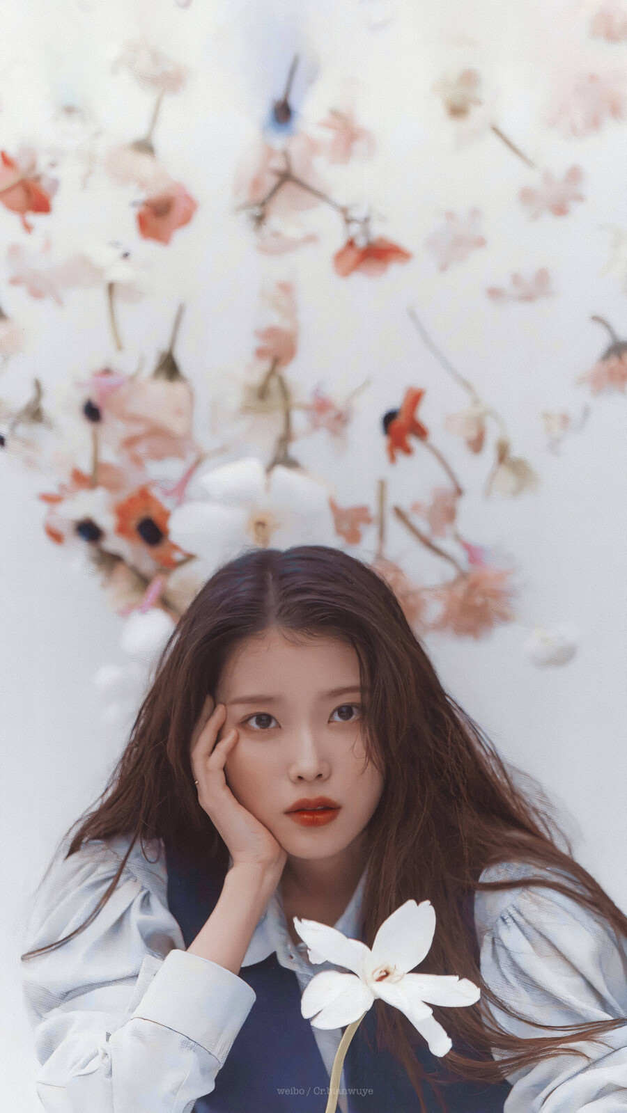 IU | 正规五辑内页扫图
cr:边五爷