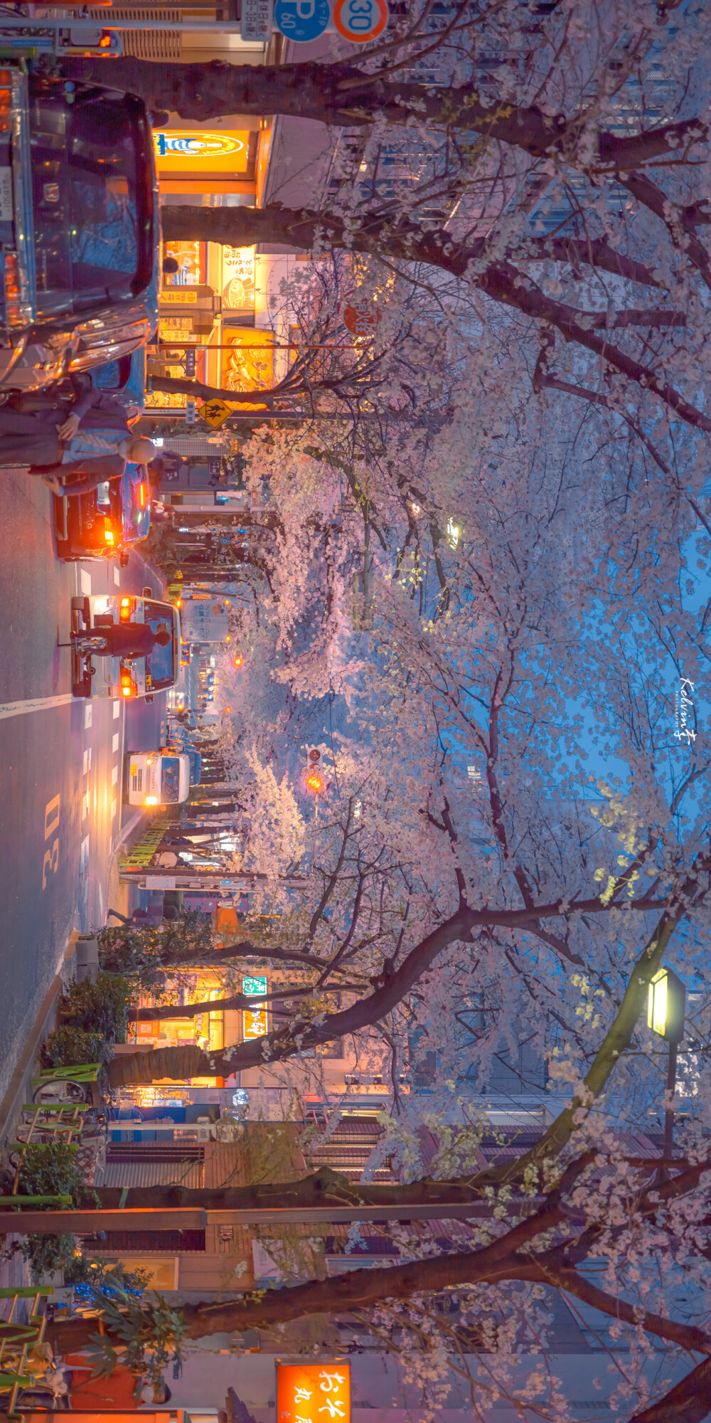 日本風景