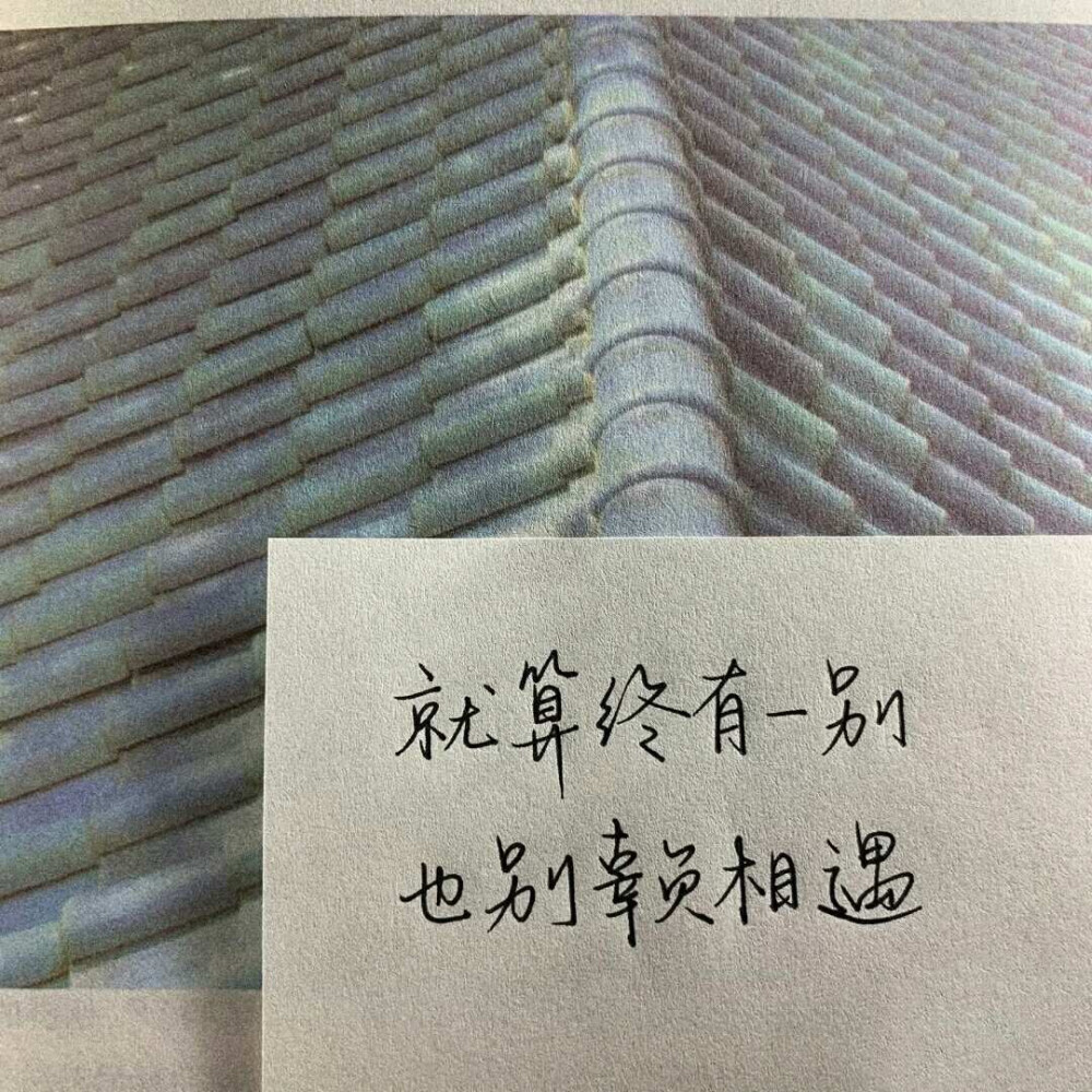 手写语句/摘抄