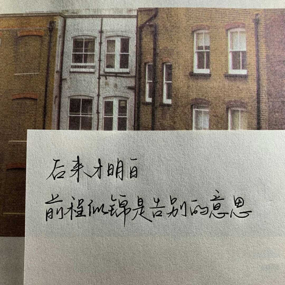 手写语句/摘抄