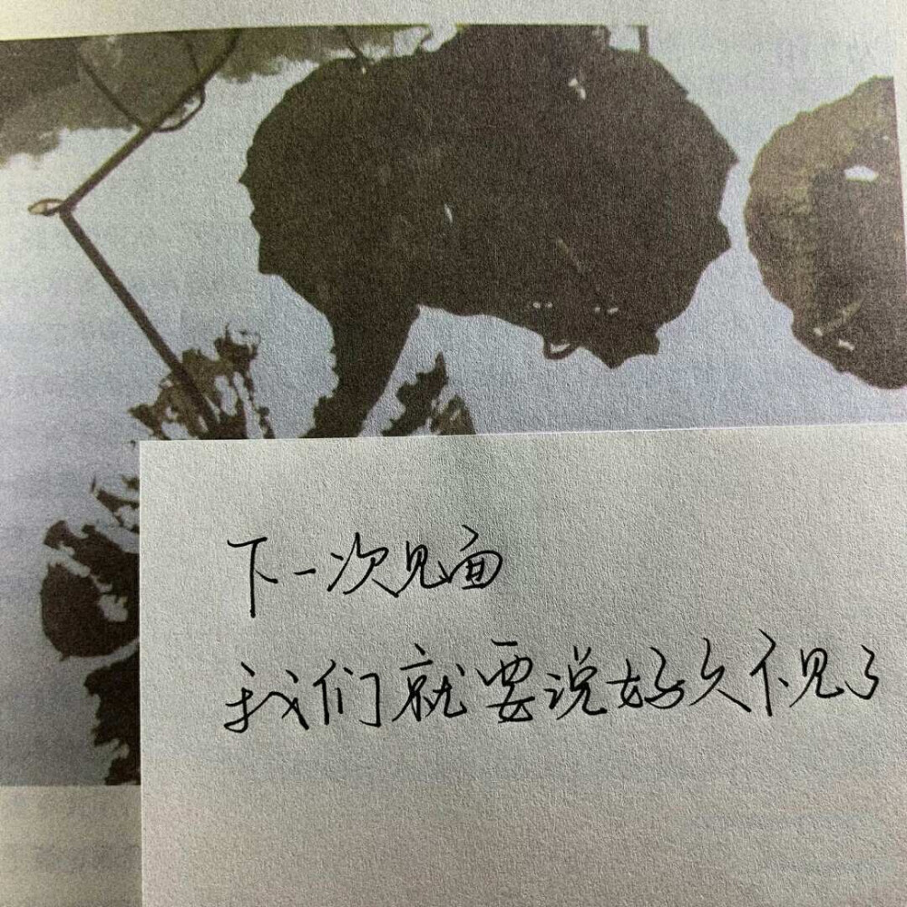 手写语句/摘抄