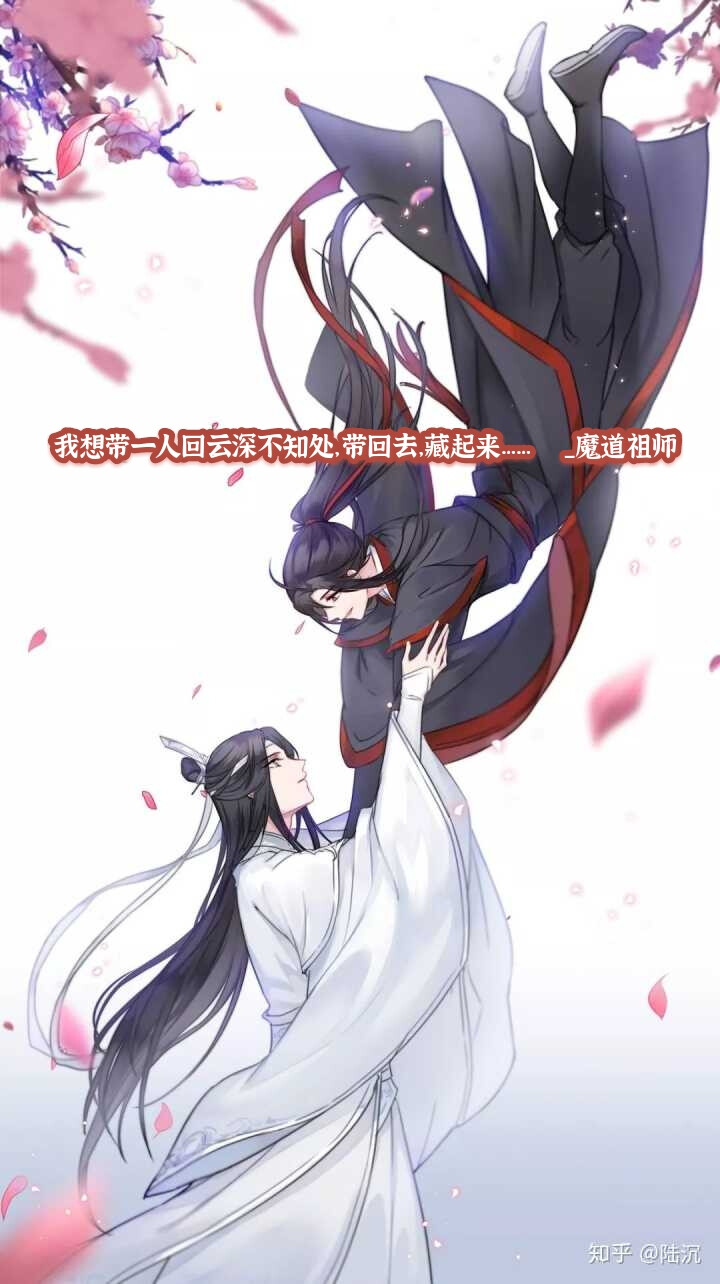 魔道祖师 _魏无羡蓝忘机