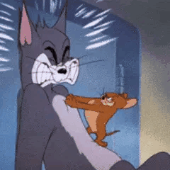 -猫和老鼠表情包