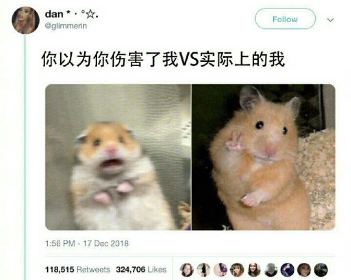 所以不爱了