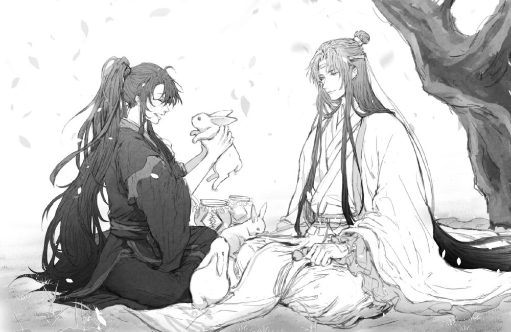 MDZS