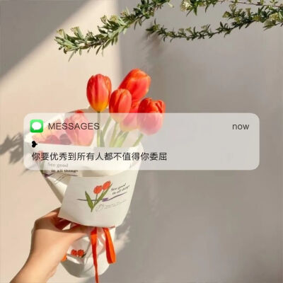 ————
——ᵂᵃⁿᵗ ᵗᵒ ᵗᵉⁿᵈᵉʳ ᵃˡˡ ᵒᵛᵉʳ ᵗʰᵉ ʷᵒʳˡᵈ ᵃʳᵉ ᶜᵒᵛᵉʳᵉᵈ ⁱⁿ ʸᵒᵘʳ ᵇᵒᵈʸ·
希望全世界的温柔都盖在你的身上。