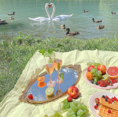 ins ©camelia.dreamer