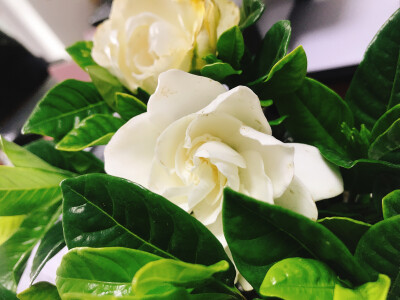 一生所有 干净自由