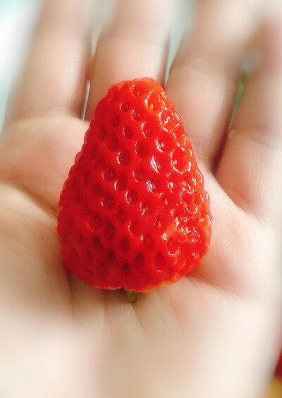 一生所有 干净自由