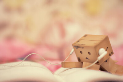 Danbo 音乐