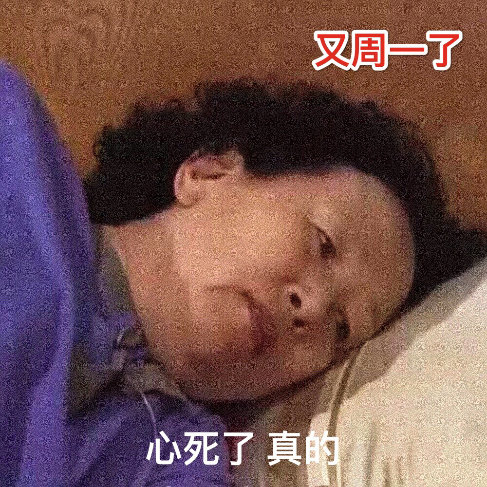 罗文姬女士表情包