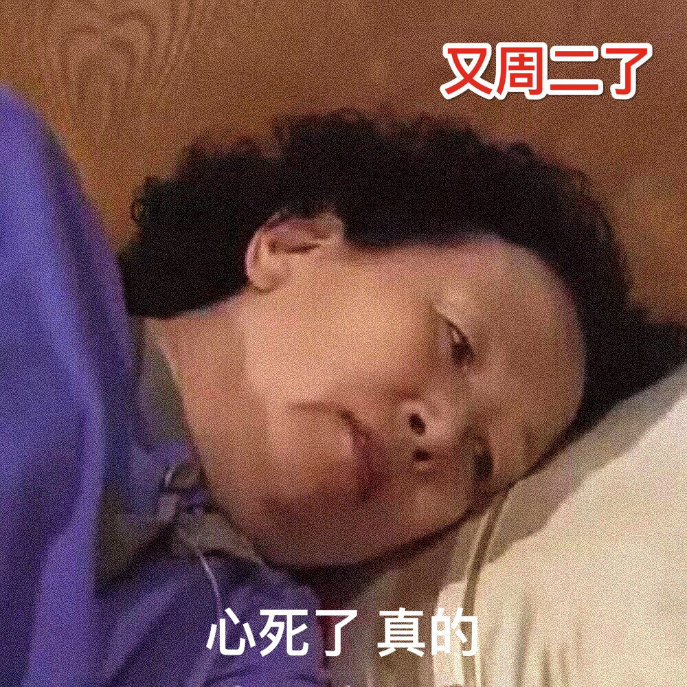 罗文姬女士表情包