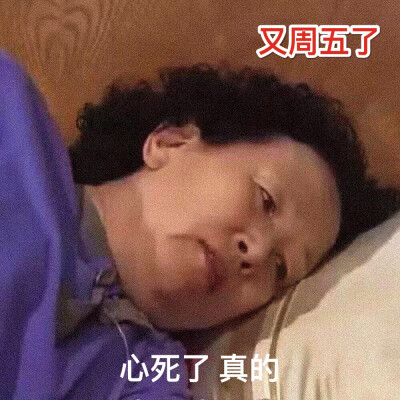 罗文姬女士表情包