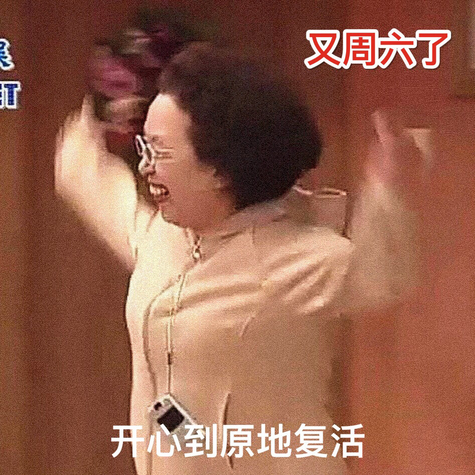 罗文姬女士表情包