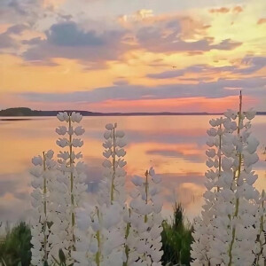  个性 意境 温馨  日系 美式 文字 人物 卡通 加菲猫 自然风景  动漫 史努比 搞怪 iphone手机壁纸 唯美壁纸 锁屏 搞笑 粉色系 韩风 朋友圈背景 本特利 