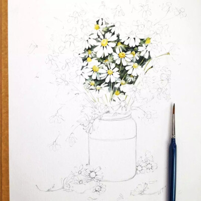 植物绘，插画师：Erilt