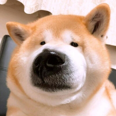 听说点赞加关注，喜欢的人也会喜欢你哦