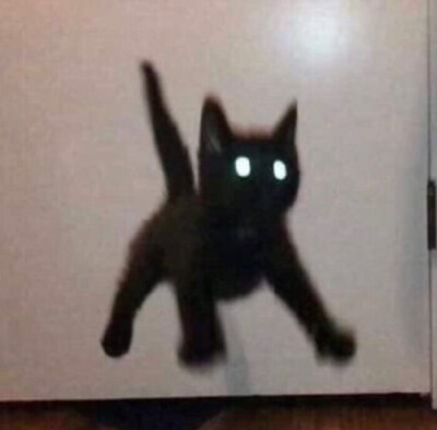 听说点赞加关注，喜欢的人也会喜欢你哦