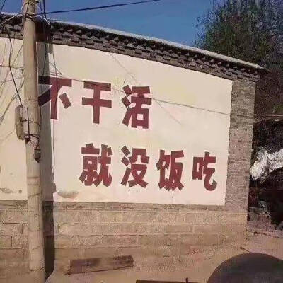 工作号头像