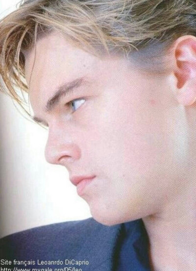 小李子Leonard DiCaprio