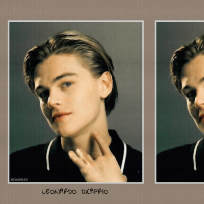 小李子Leonard DiCaprio