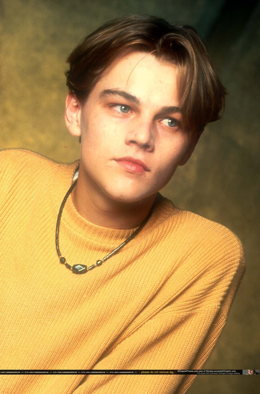 小李子Leonard DiCaprio