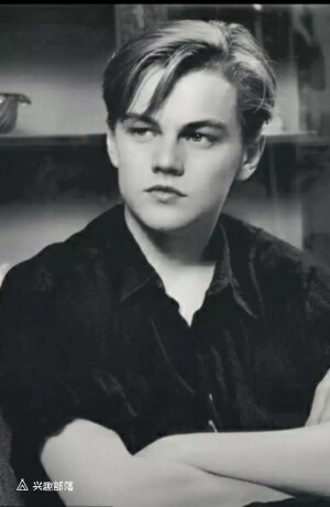 小李子Leonard DiCaprio