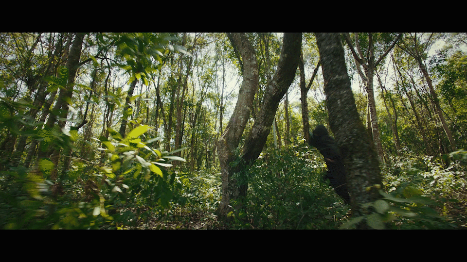 肖宇梁·小哥 打戏深得我心