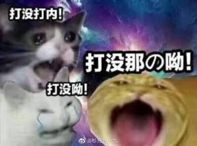 猹