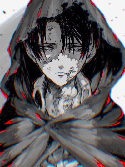 Levi