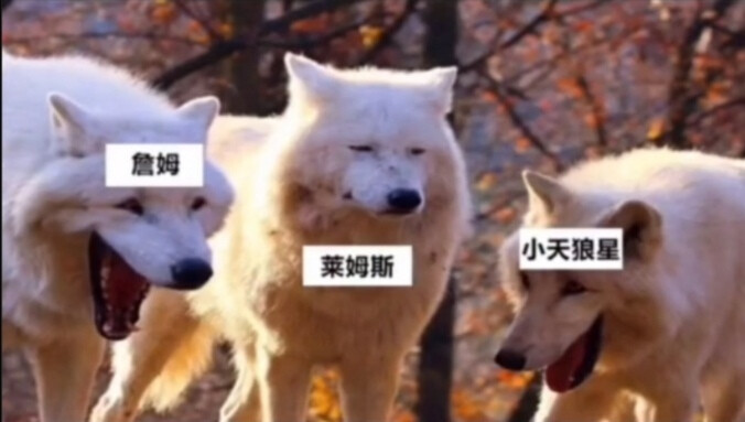 哈利波特