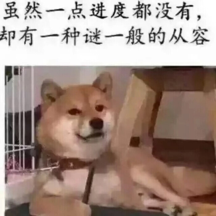 狗子