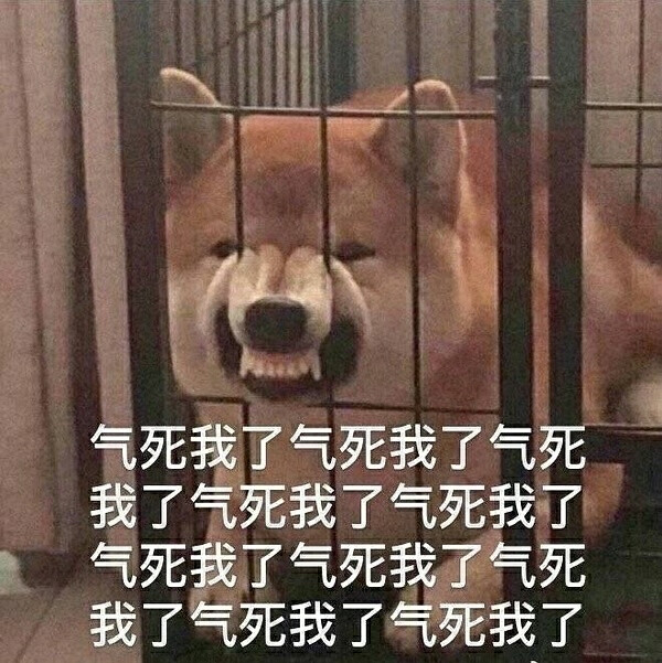 狗子