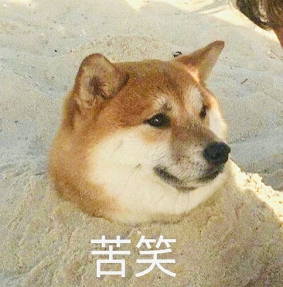 狗子