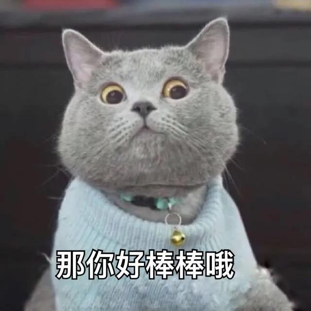 表情包~
