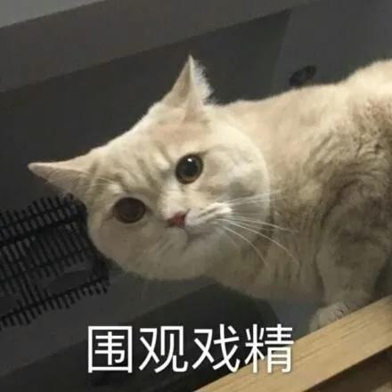表情包~