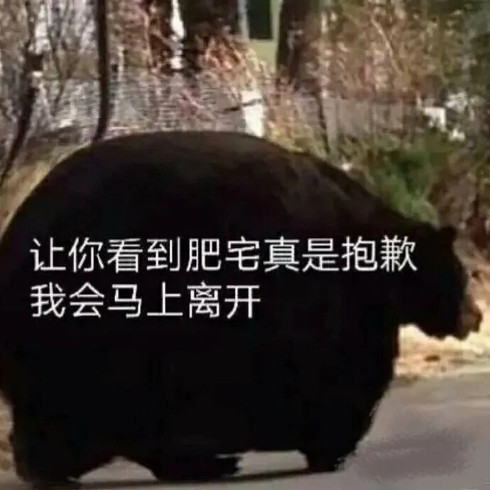 你听我编