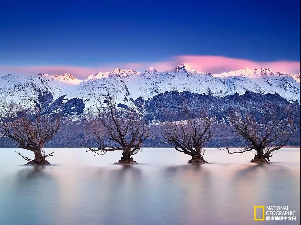  晨曦
新西兰格兰诺基（Glenorchy）泗水环绕的杨柳，美名远播，太阳从南部的瓦卡蒂普湖（Wakatipu）徐徐升起。摄影者Paul Reiffer称之为“新西兰特殊的一刻”。摄影：Paul Reiffer