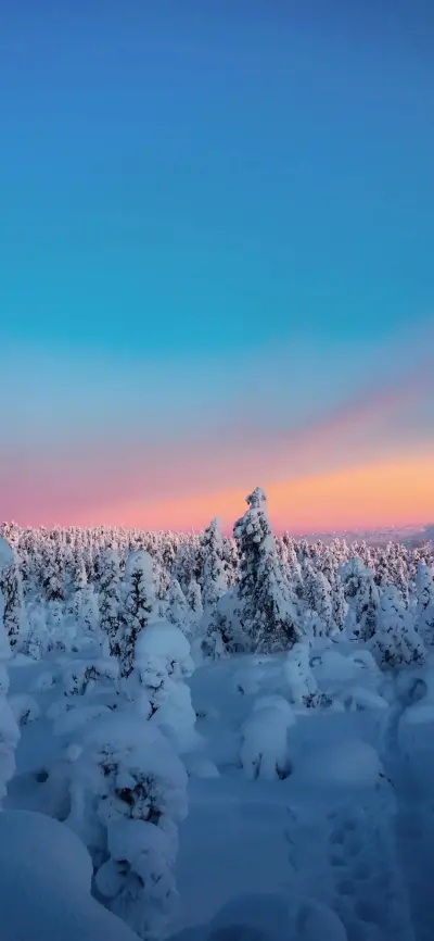 雪景风景壁纸