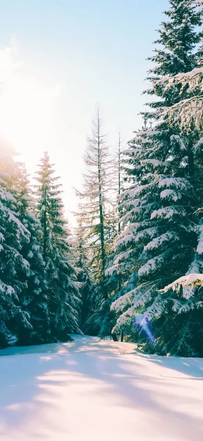 雪景风景壁纸