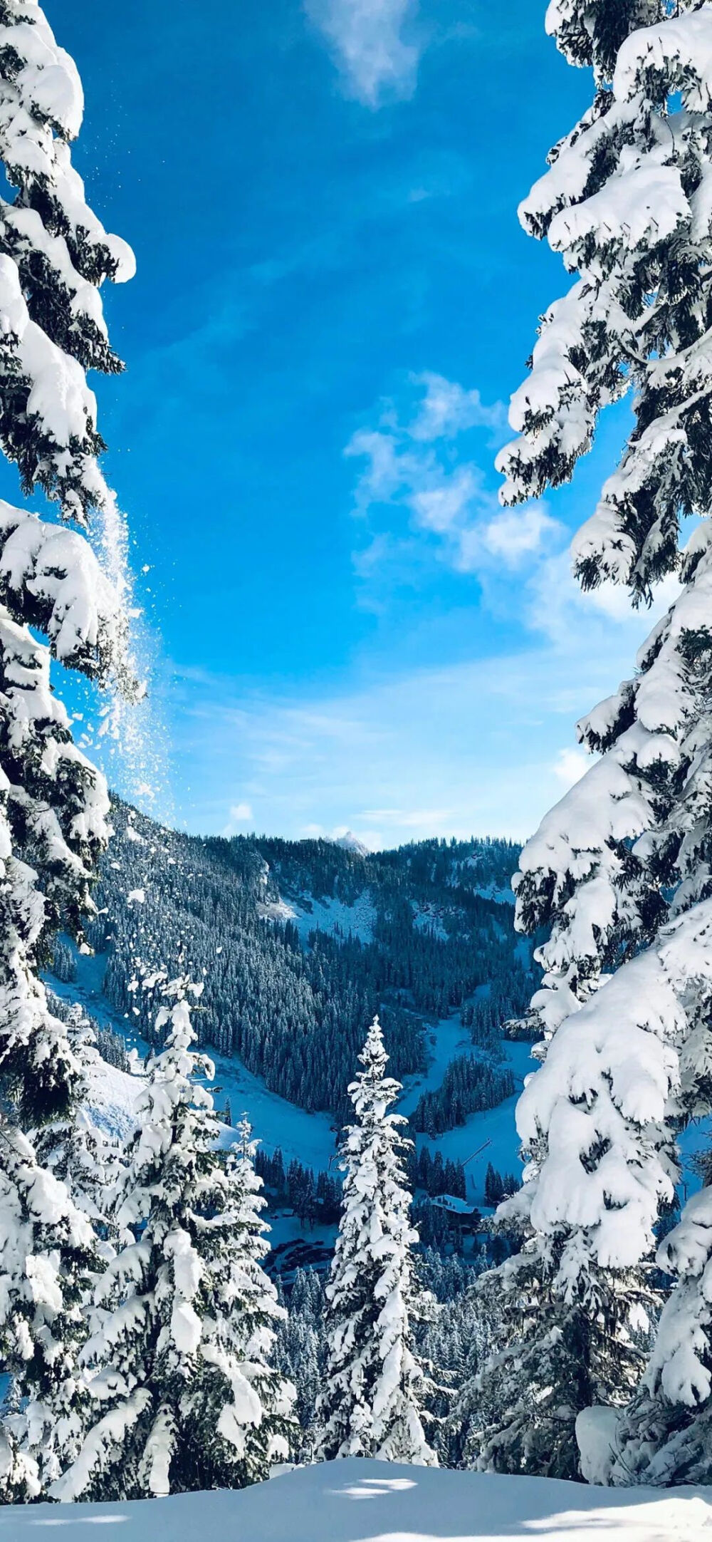 雪景风景壁纸