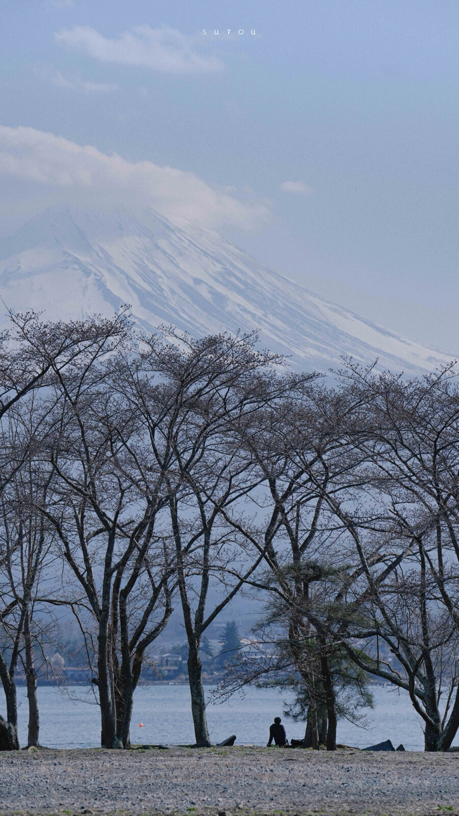 壁纸