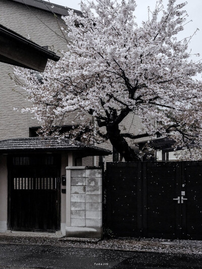 背景图
