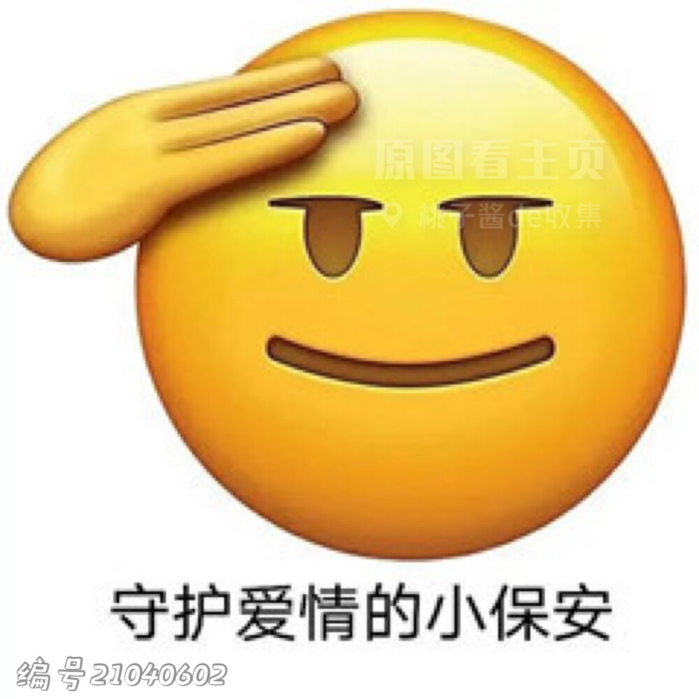 磕cp表情包
守护爱情的小保安